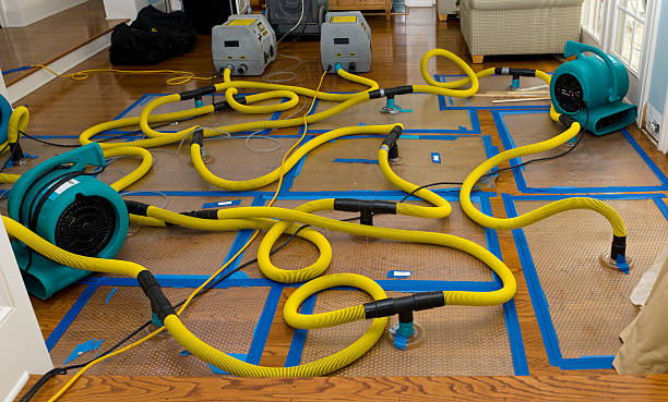 Professional Storm Water Damage Restoration technician working in Cameron, AZ